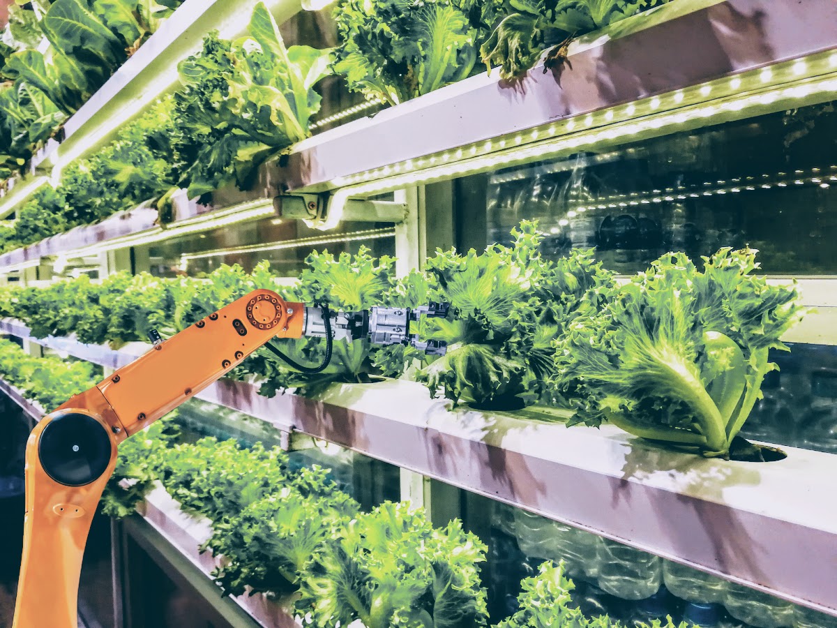  robot automation on a vertical farm