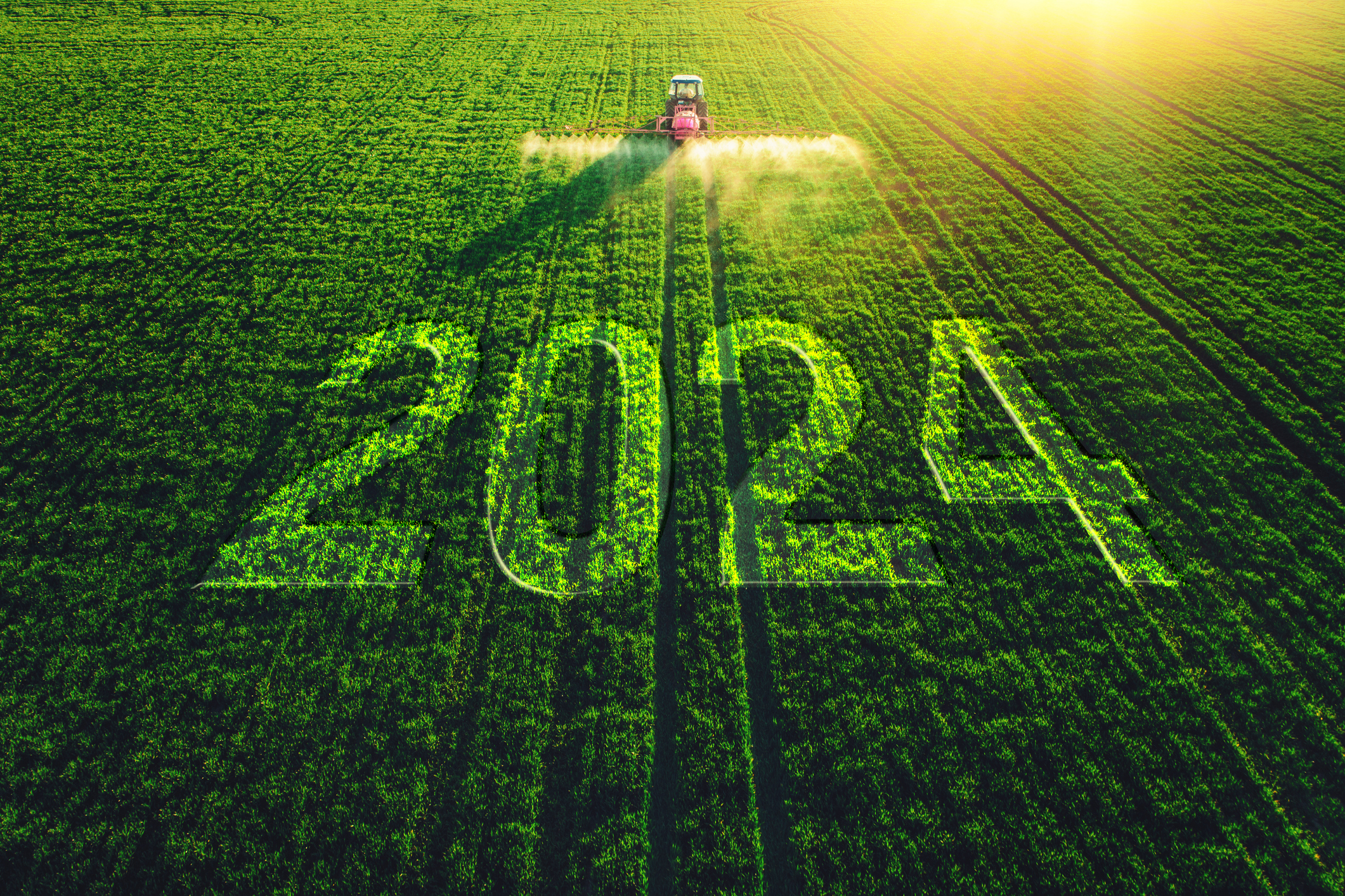 Tractor harvesting a green field with the number 2024