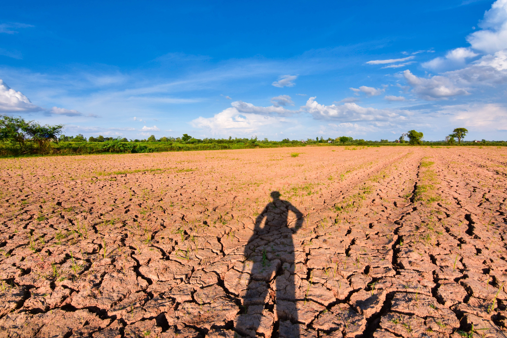 Farmers shadow on a field affected by drought