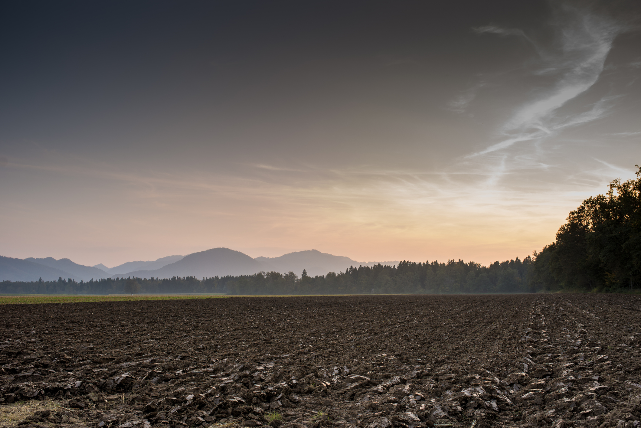 agricultural soil field