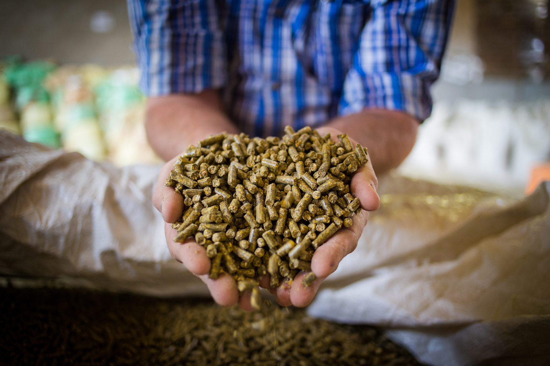 Could an animal nutritionist / · Agricultural Recruitment Specialists Could an animal nutritionist / · Agricultural Recruitment Specialists