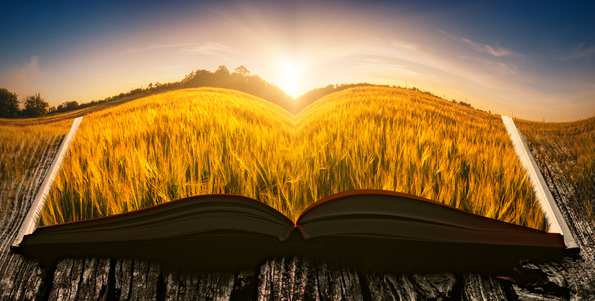 agricultural field open reading book