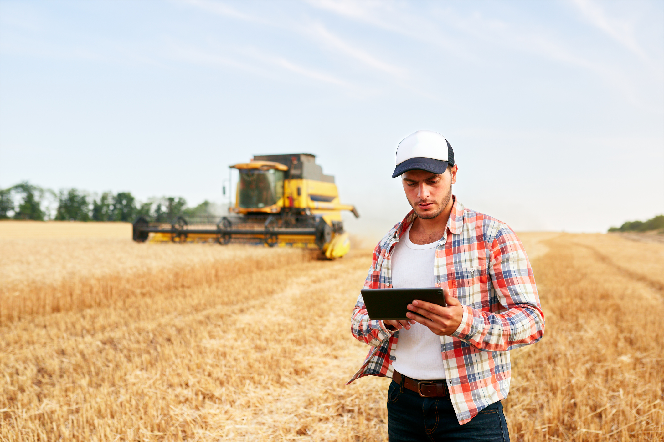 Farmer using tablet in a wheat field for harvesting