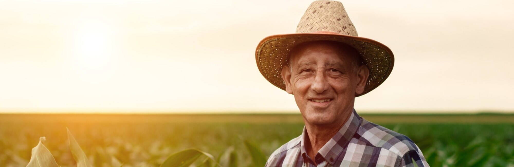 Older farmer in a field 