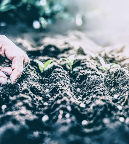 Crops, Seeds & Grains Jobs